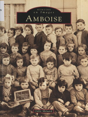 cover image of Amboise